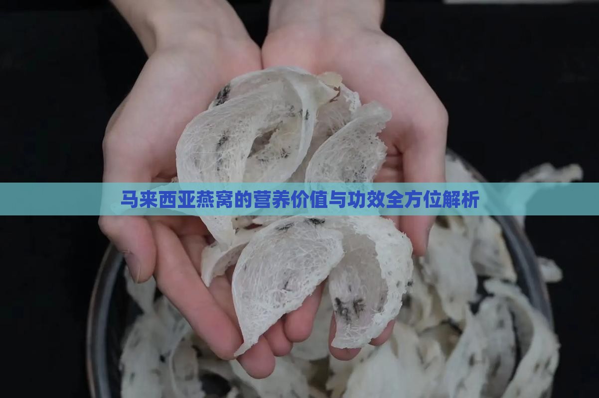 马来西亚燕窝的营养价值与功效全方位解析