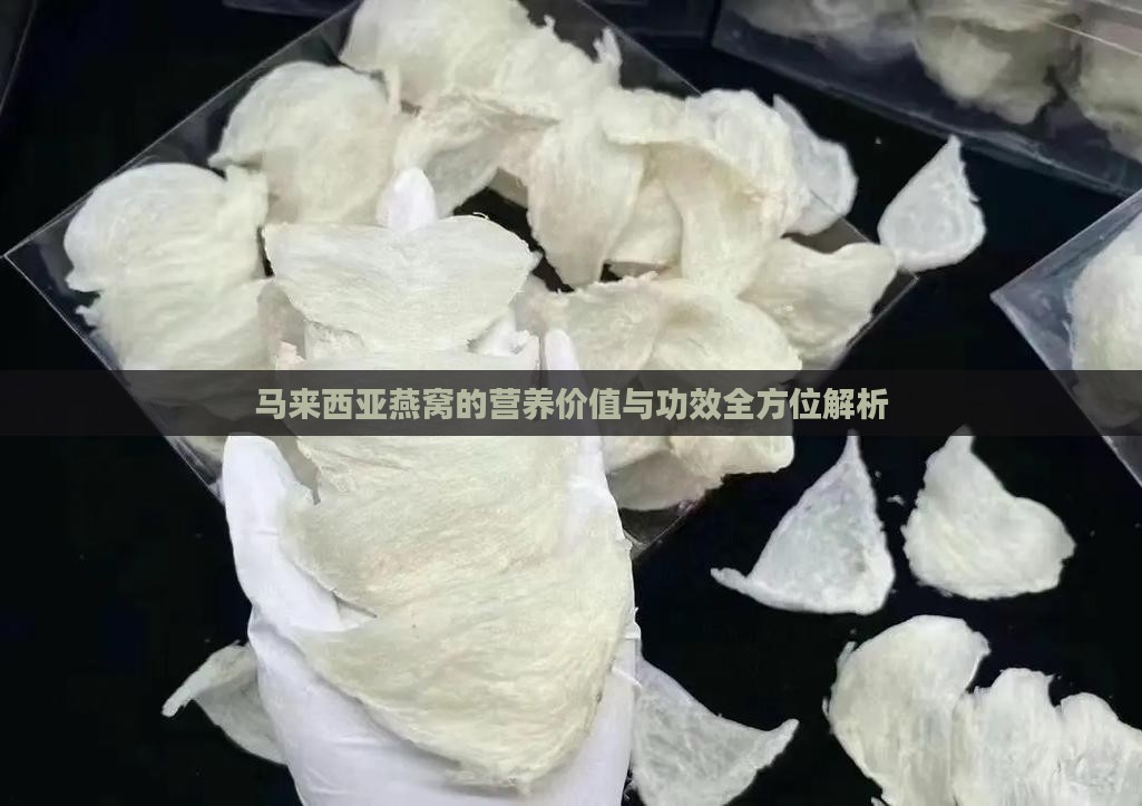 马来西亚燕窝的营养价值与功效全方位解析