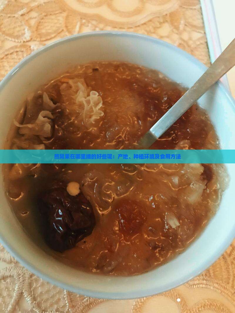 燕窝果在哪里摘的好些呢：产地、种植环境及食用方法