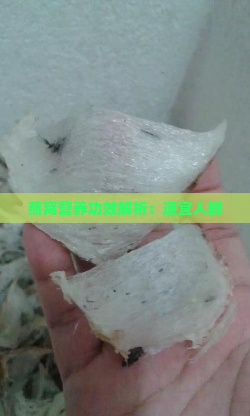 燕窝营养功效解析：适宜人群