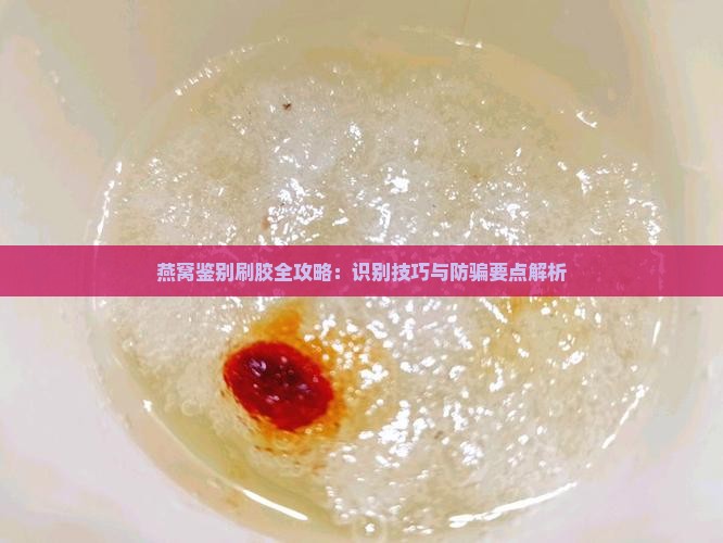 燕窝鉴别刷胶全攻略：识别技巧与防骗要点解析