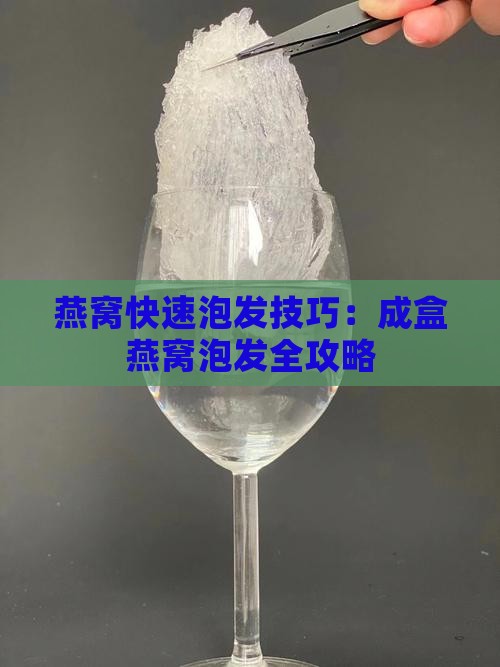 燕窝快速泡发技巧：成盒燕窝泡发全攻略
