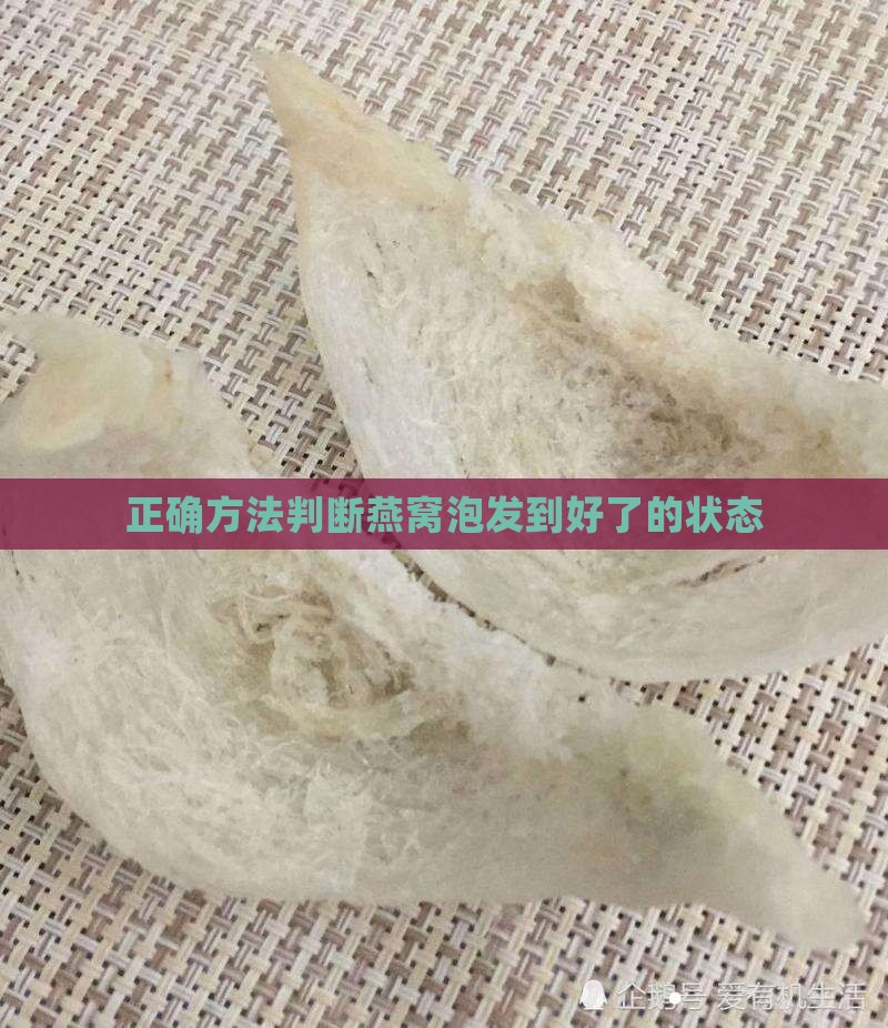 正确方法判断燕窝泡发到好了的状态