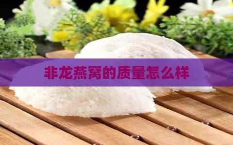 非龙燕窝的质量怎么样