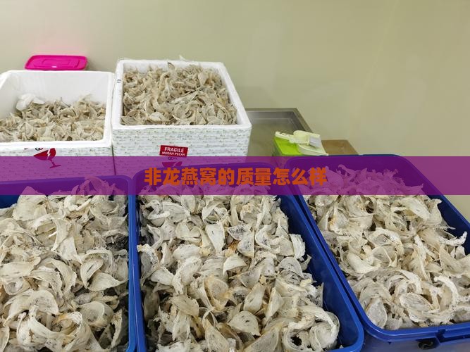 非龙燕窝的质量怎么样