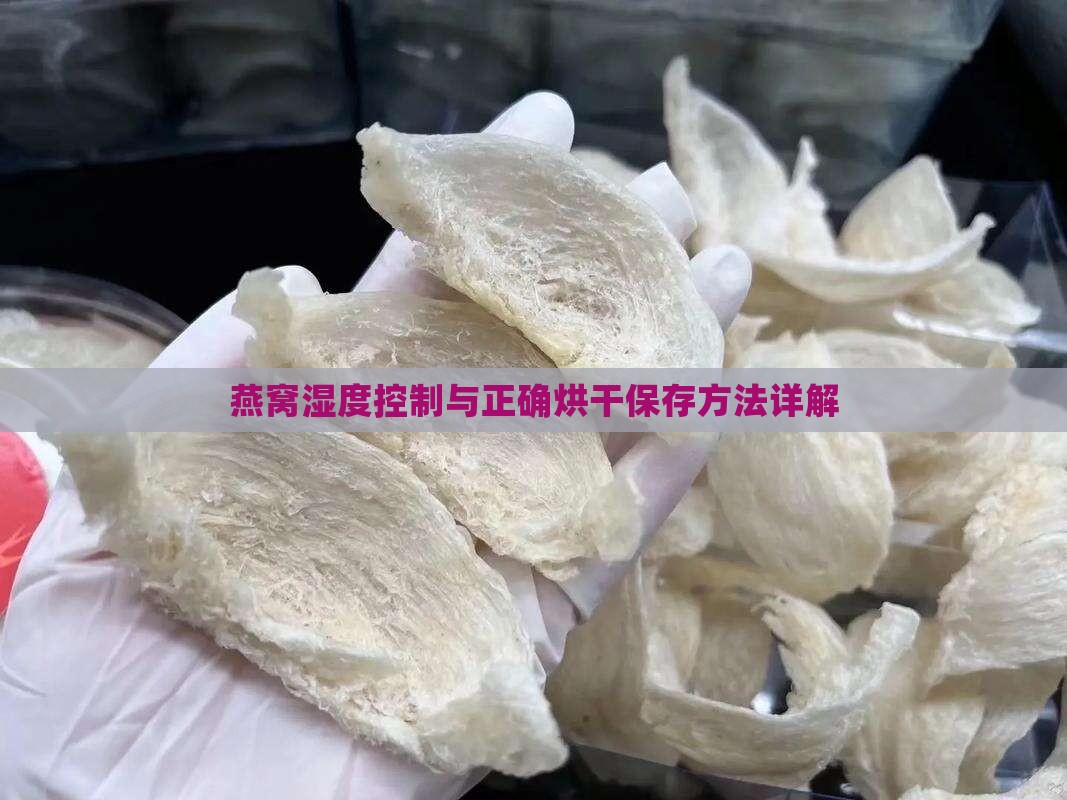 燕窝湿度控制与正确烘干保存方法详解