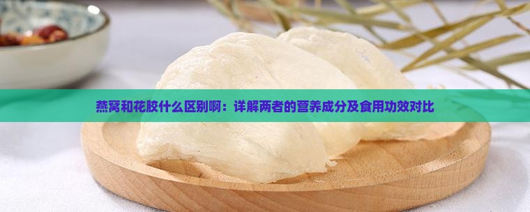 燕窝和花胶什么区别啊：详解两者的营养成分及食用功效对比