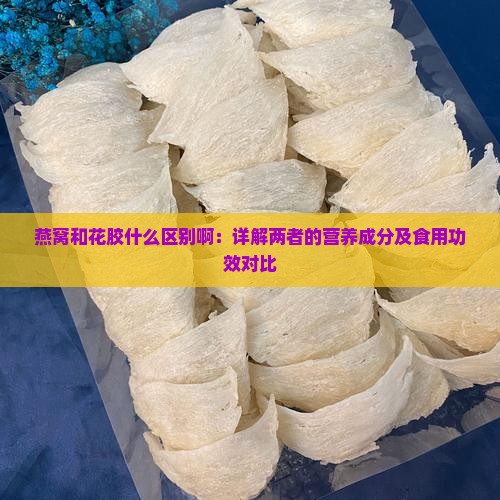 燕窝和花胶什么区别啊：详解两者的营养成分及食用功效对比