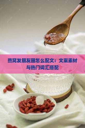 燕窝发朋友圈怎么配文：文案素材与热门词汇搭配