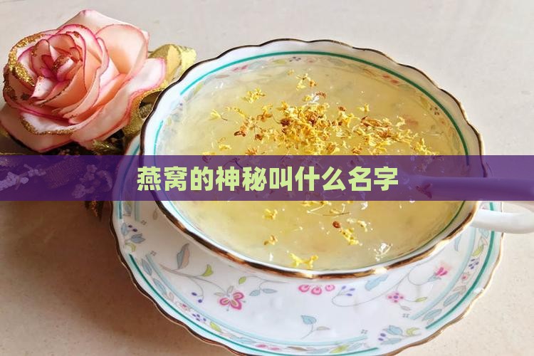 燕窝的神秘叫什么名字