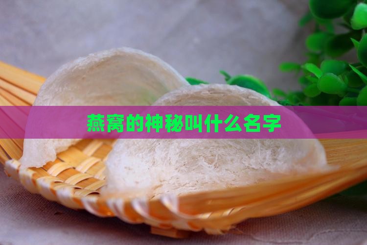 燕窝的神秘叫什么名字