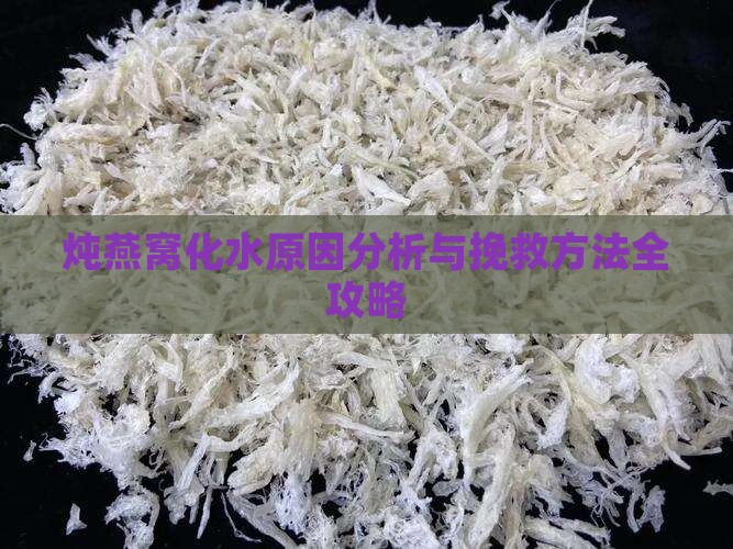 炖燕窝化水原因分析与挽救方法全攻略