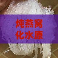 炖燕窝化水原因分析与挽救方法全攻略
