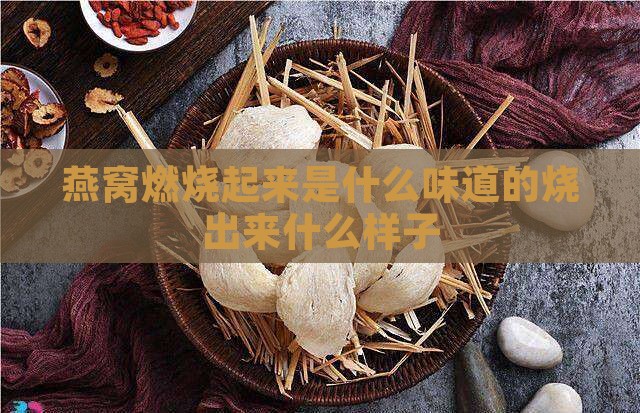 燕窝燃烧起来是什么味道的烧出来什么样子