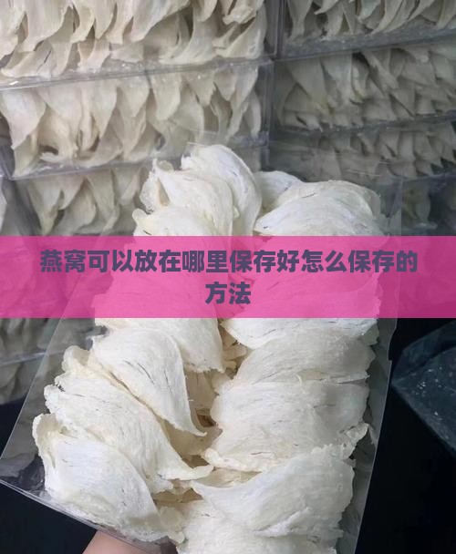 燕窝可以放在哪里保存好怎么保存的方法