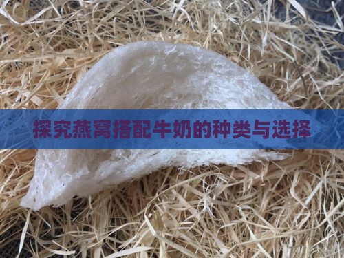 探究燕窝搭配牛奶的种类与选择