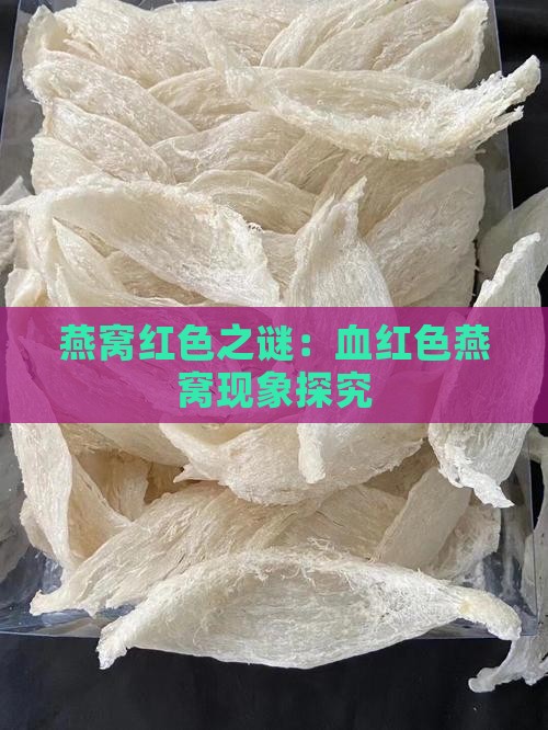 燕窝红色之谜：血红色燕窝现象探究