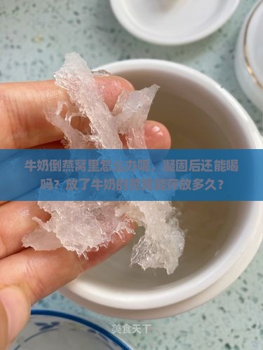 牛奶倒燕窝里怎么办呢，凝固后还能喝吗？放了牛奶的燕窝能存放多久？