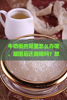 牛奶倒燕窝里怎么办呢，凝固后还能喝吗？放了牛奶的燕窝能存放多久？