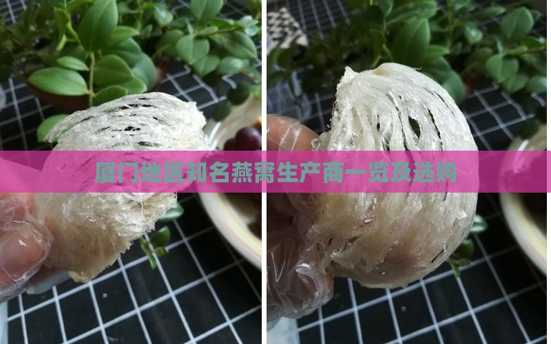 厦门地区知名燕窝生产商一览及选购