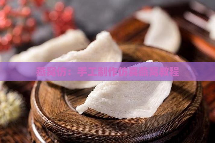 燕窝仿：手工制作仿真燕窝教程