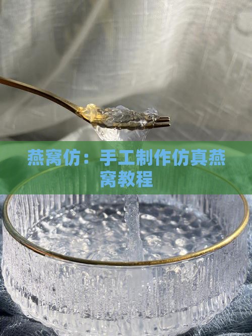 燕窝仿：手工制作仿真燕窝教程