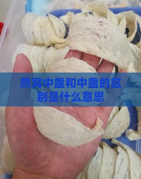 燕窝中盏和中盏的区别是什么意思