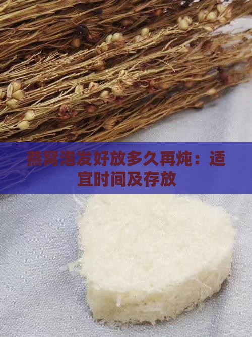燕窝泡发好放多久再炖：适宜时间及存放