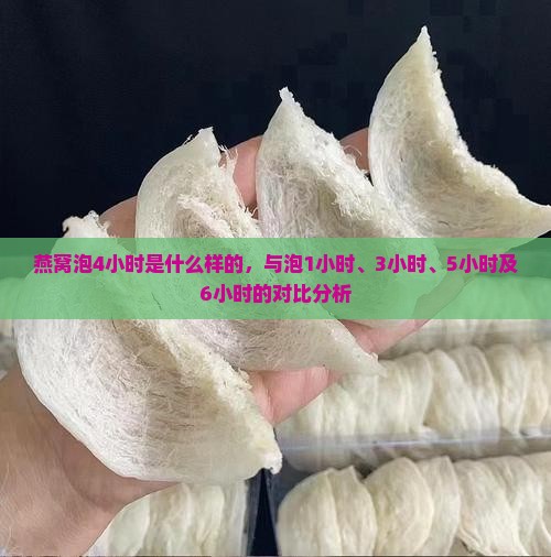 燕窝泡4小时是什么样的，与泡1小时、3小时、5小时及6小时的对比分析