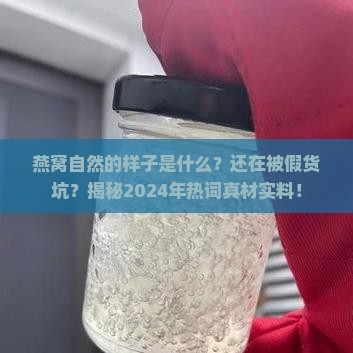 燕窝自然的样子是什么