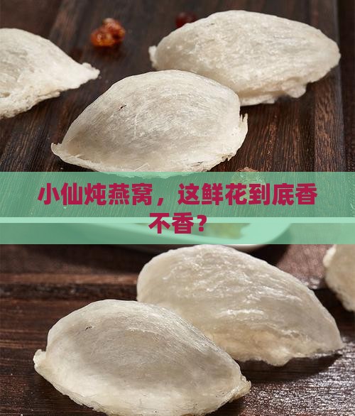 小仙炖燕窝鲜花怎么样