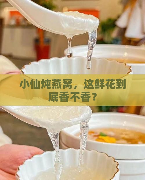 小仙炖燕窝鲜花怎么样