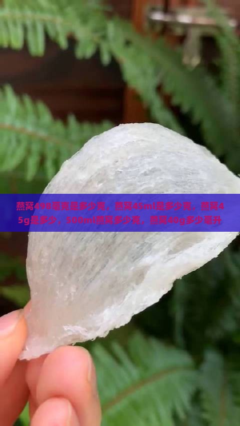 燕窝498毫克是多少克