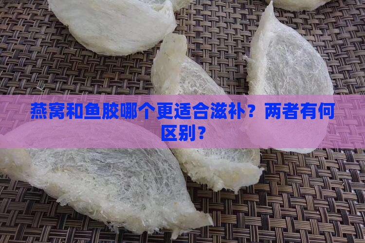 燕窝和鱼胶哪个管用些 燕窝和鱼胶哪个管用些