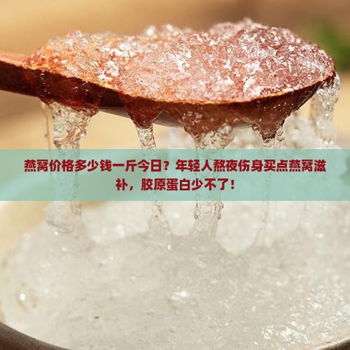 燕窝价格多少钱一斤今日