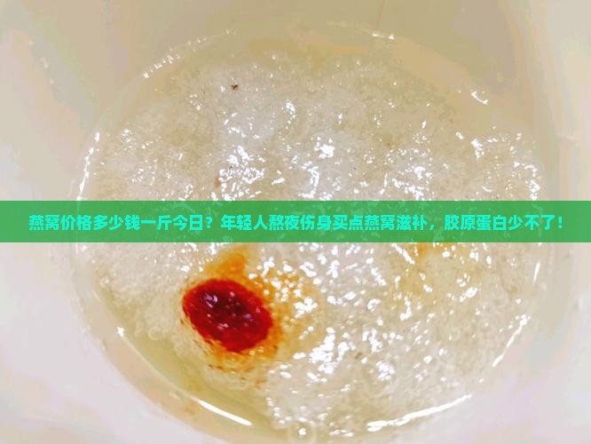 燕窝价格多少钱一斤今日