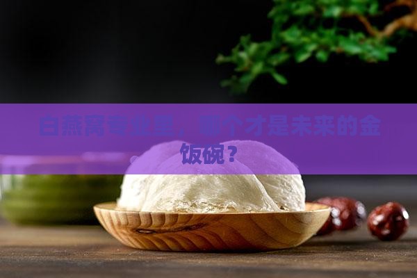 白燕窝什么专业好就业