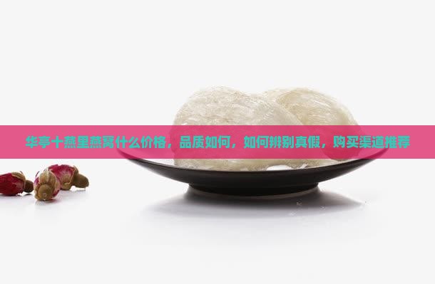 华亭十燕里燕窝什么价格