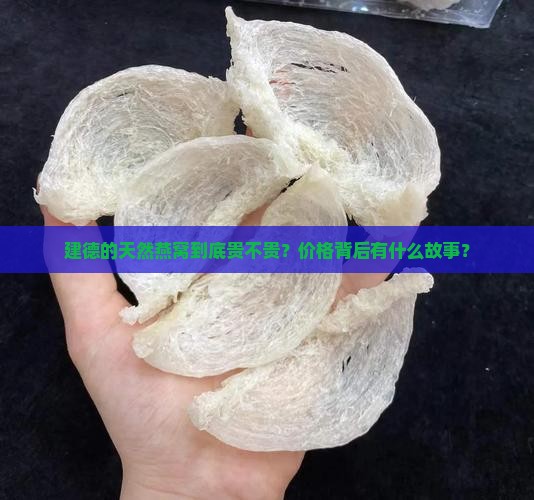 建德天然燕窝价格多少