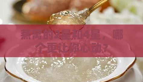 燕窝2星和4星哪个好看