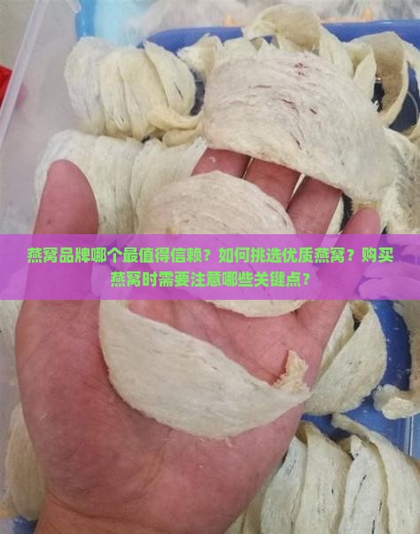 燕窝牌子选择哪个好用的