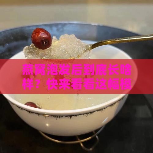 燕窝泡发的样子怎么描述
