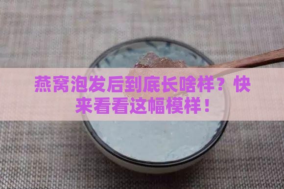 燕窝泡发的样子怎么描述
