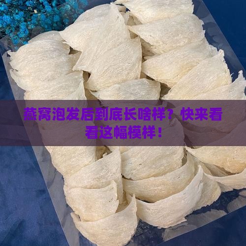 燕窝泡发的样子怎么描述