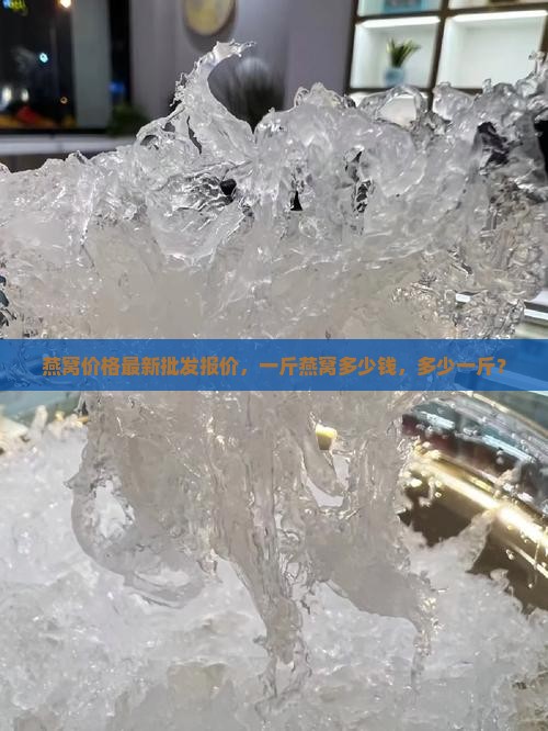 燕窝鸡翅批发多少钱一斤