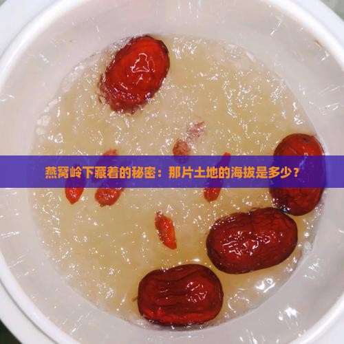 燕窝岭下面的海拔是多少