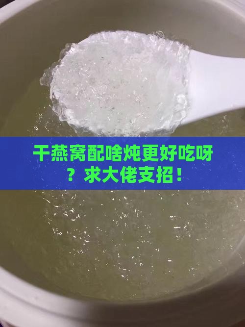 干燕窝放什么炖比较好