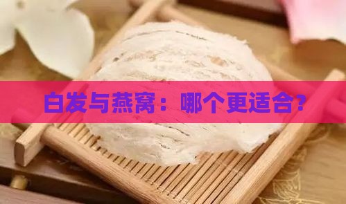 白发老奶奶和燕窝哪个好