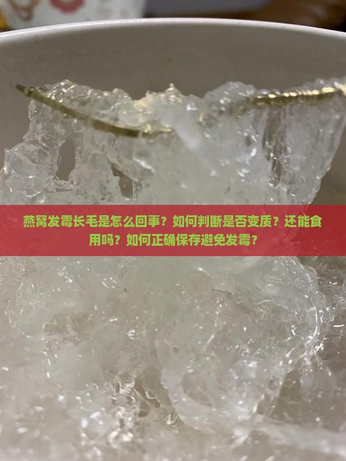 燕窝发霉长毛是怎么回事