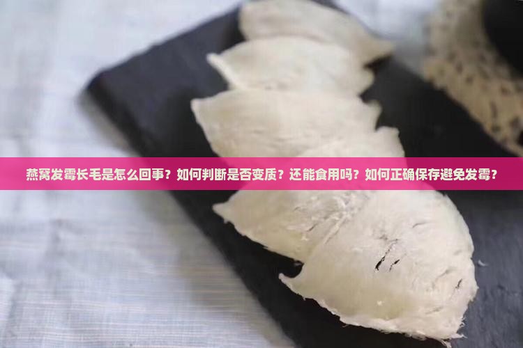 燕窝发霉长毛是怎么回事